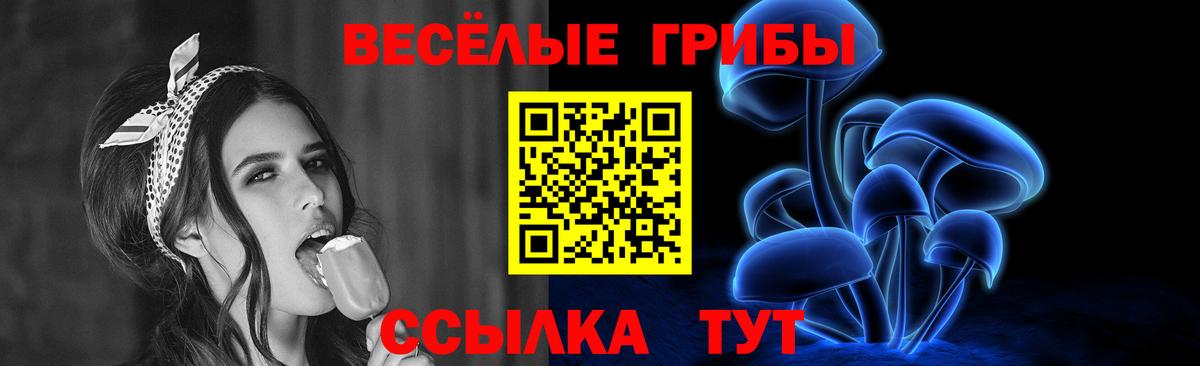 Псилоцибиновые грибы Psilocybine cubensis  Вход с VPN  Зима  Псилоцибиновые грибы Psilocybe 